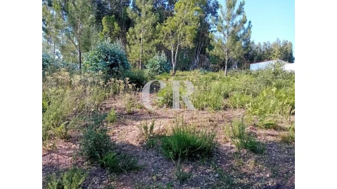 Terreno para Venda em Figueiró dos Vinhos e Bairradas