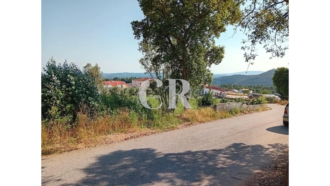 Terreno para Venda em Figueiró dos Vinhos e Bairradas Foto 1
