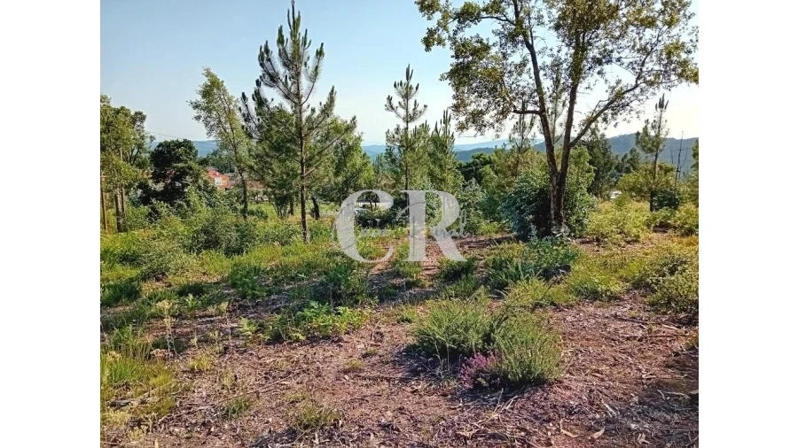 Terreno para Venda em Figueiró dos Vinhos e Bairradas Foto 5