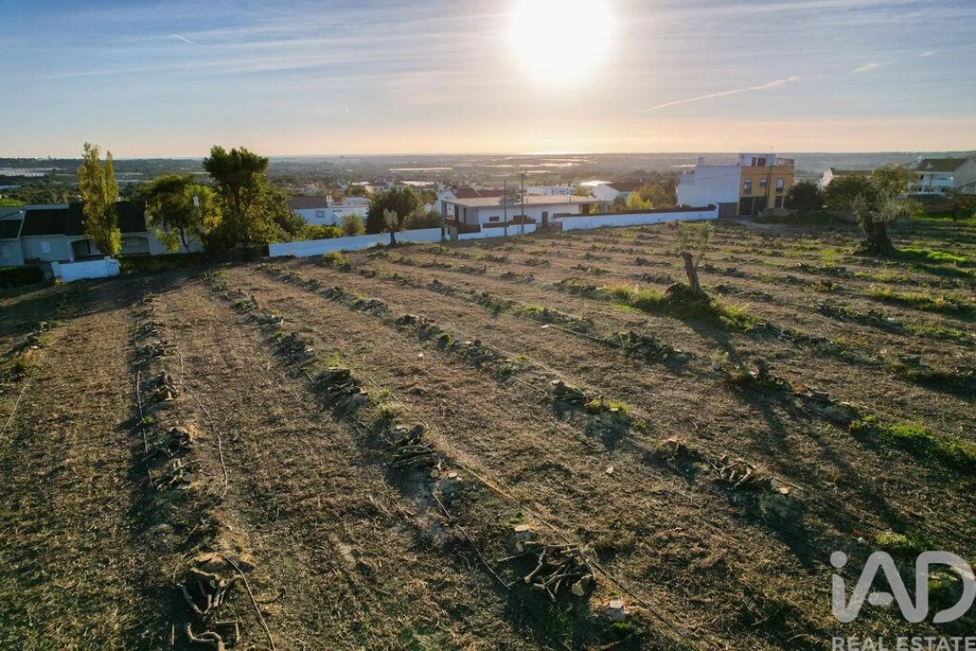 Terreno para Venda em Conceição e Estoi Foto 12