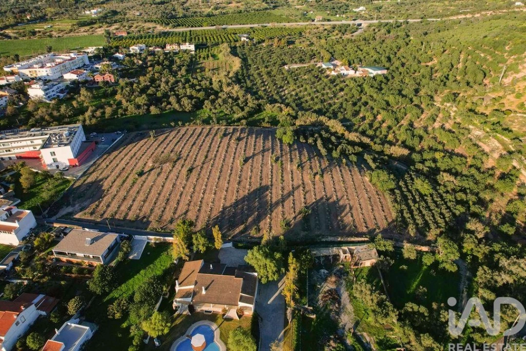 Terreno para Venda em Conceição e Estoi Foto 8