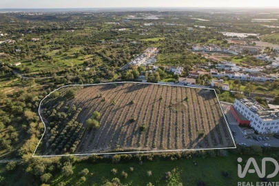 Terreno para Venda em Conceição e Estoi