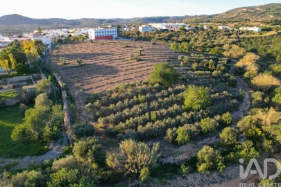 Terreno para Venda em Conceição e Estoi