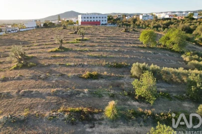 Terreno para Venda em Conceição e Estoi