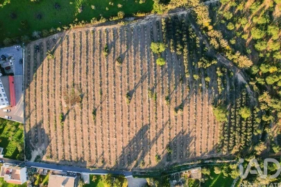 Terreno para Venda em Conceição e Estoi