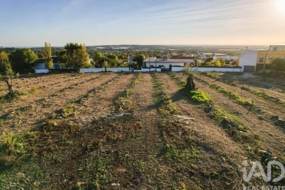 Terreno para Venda em Conceição e Estoi
