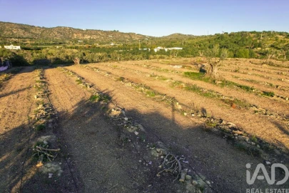 Terreno para Venda em Conceição e Estoi