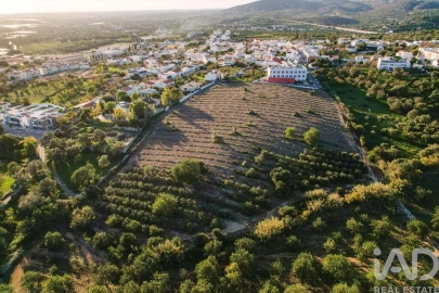 Terreno para Venda em Conceição e Estoi