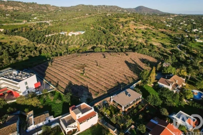 Terreno para Venda em Conceição e Estoi