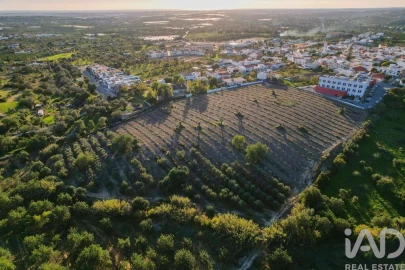 Terreno para Venda em Conceição e Estoi