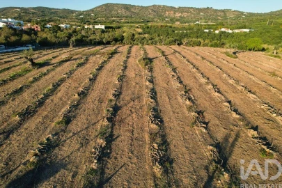 Terreno para Venda em Conceição e Estoi
