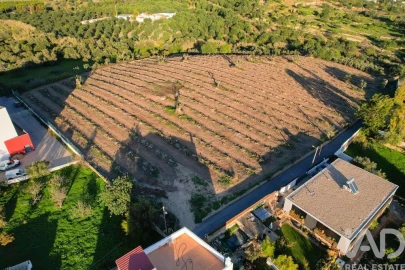 Terreno para Venda em Conceição e Estoi