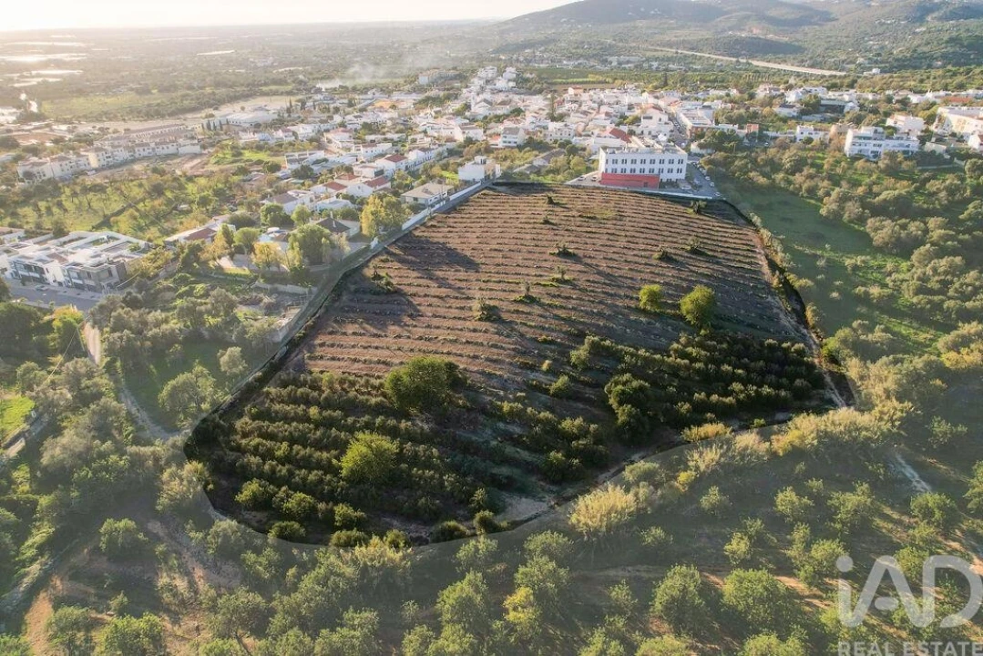 Terreno para Venda em Conceição e Estoi Foto 6