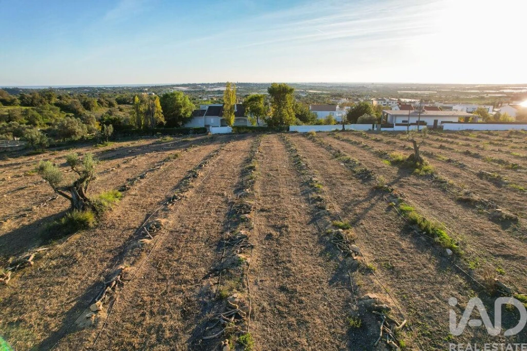 Terreno para Venda em Conceição e Estoi Foto 10