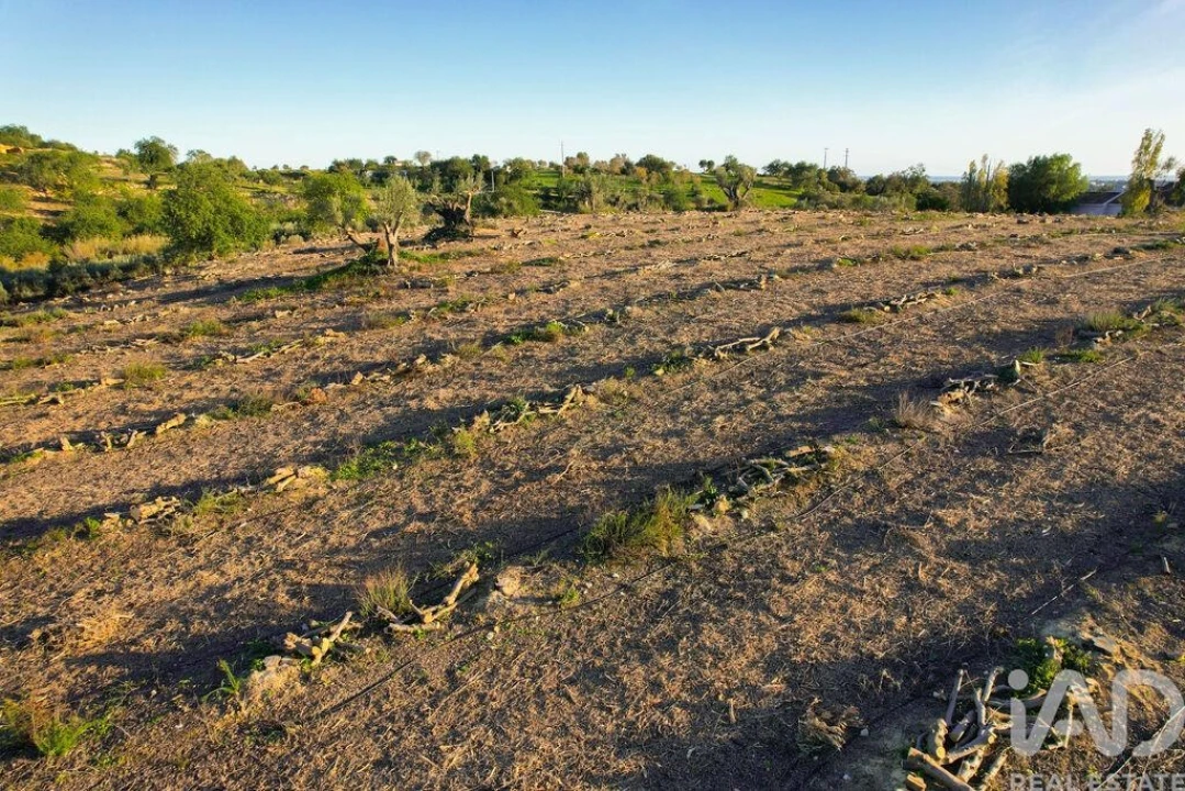 Terreno para Venda em Conceição e Estoi Foto 15