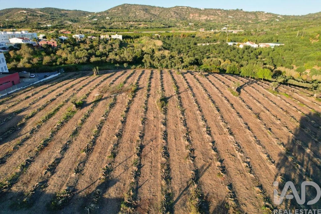 Terreno para Venda em Conceição e Estoi Foto 19