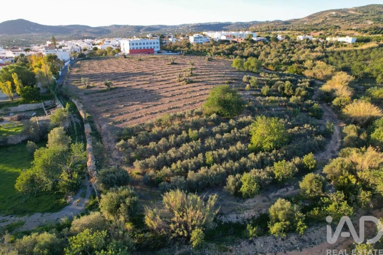 Terreno para Venda em Conceição e Estoi Foto 4