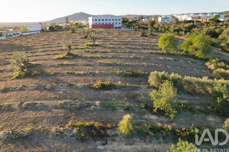 Terreno para Venda em Conceição e Estoi Foto 17