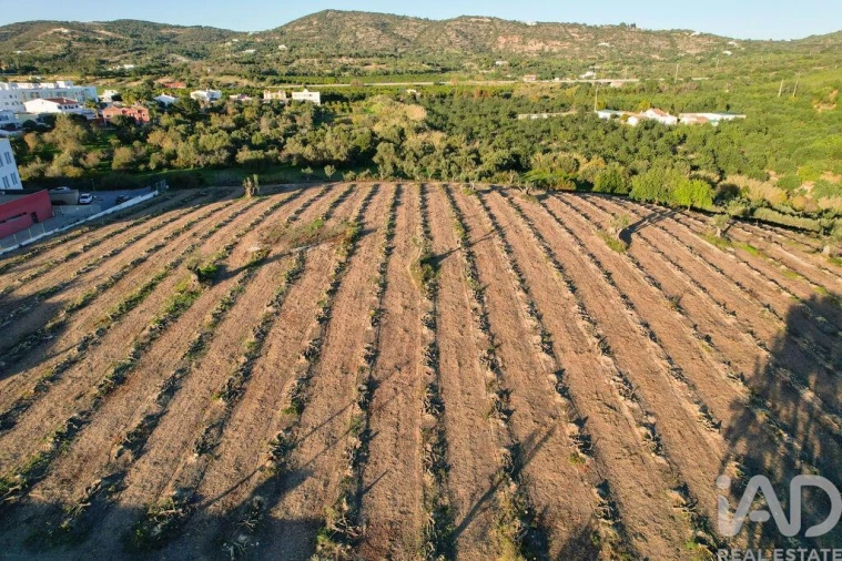 Terreno para Venda em Conceição e Estoi Foto 19