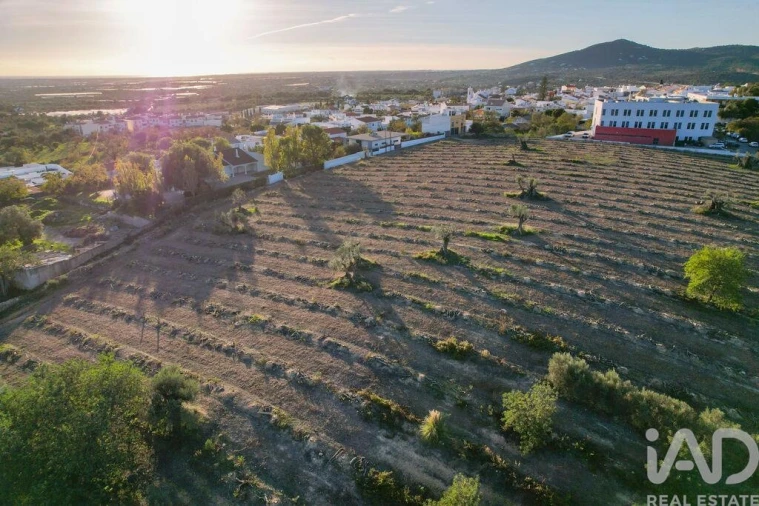 Terreno para Venda em Conceição e Estoi Foto 18