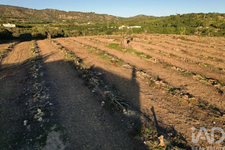 Terreno para Venda em Conceição e Estoi Foto 21