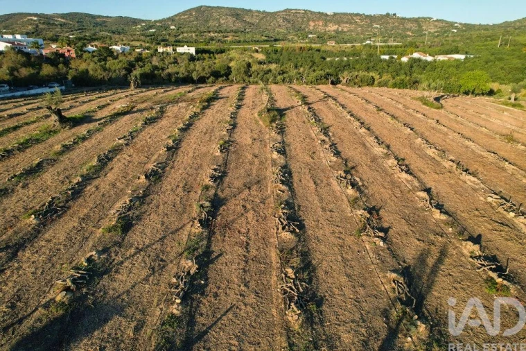 Terreno para Venda em Conceição e Estoi Foto 20