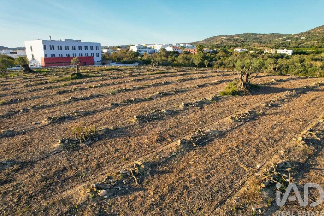Terreno para Venda em Conceição e Estoi Foto 13