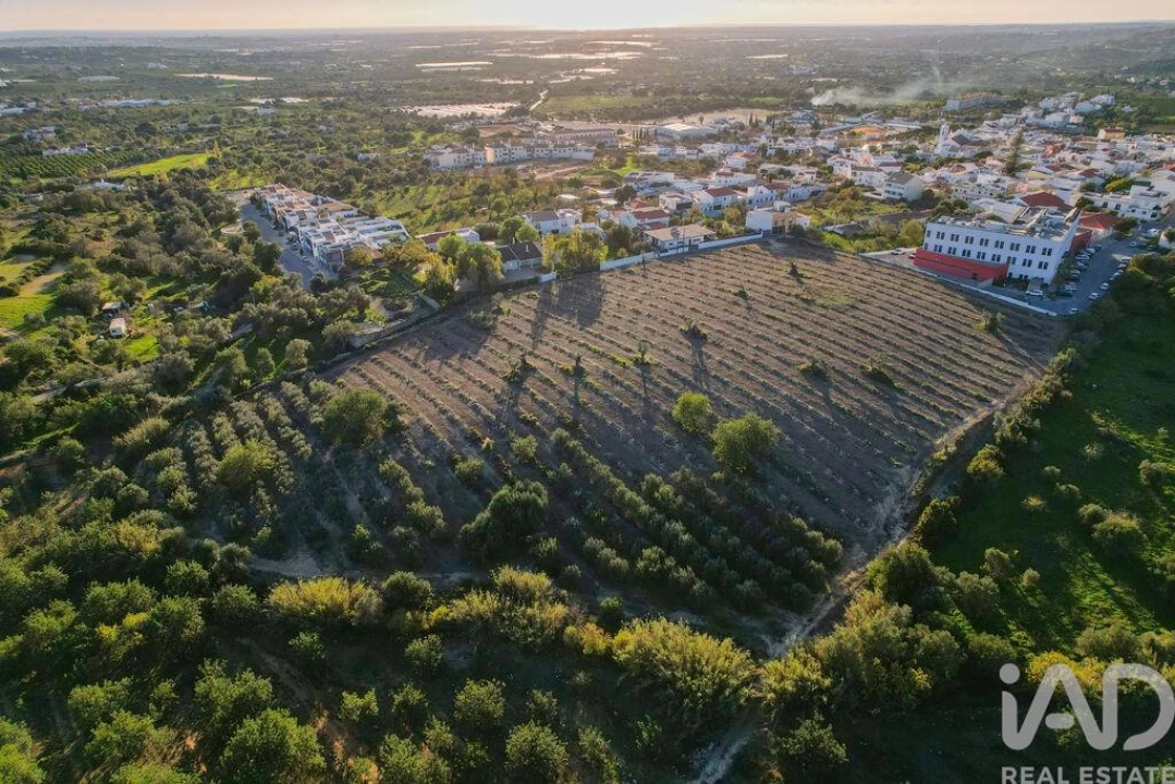 Terreno para Venda em Conceição e Estoi Foto 23