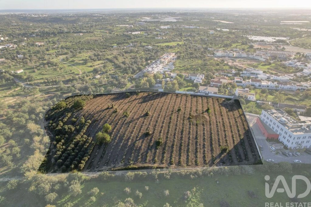 Terreno para Venda em Conceição e Estoi Foto 3