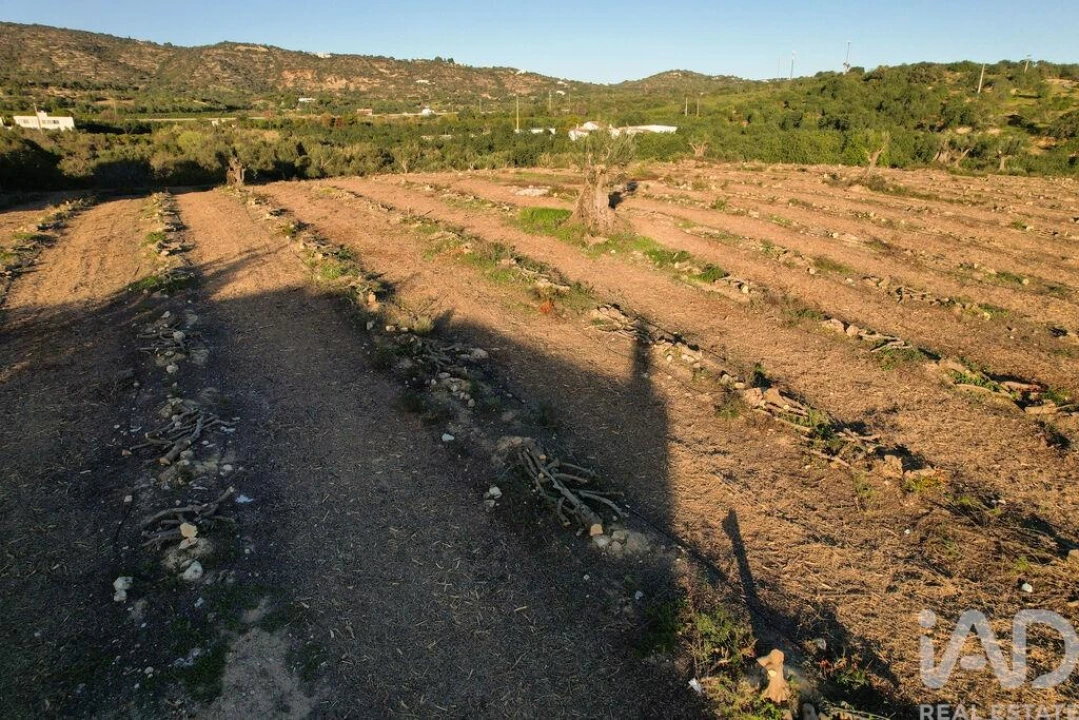 Terreno para Venda em Conceição e Estoi Foto 21