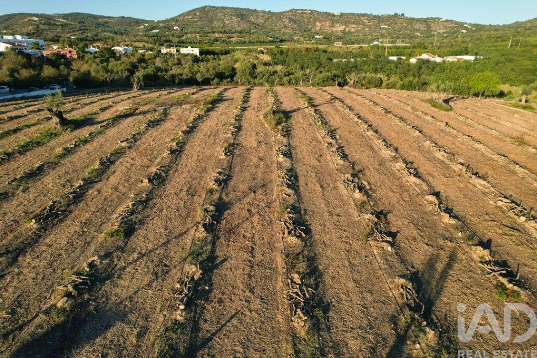 Terreno para Venda em Conceição e Estoi Foto 20