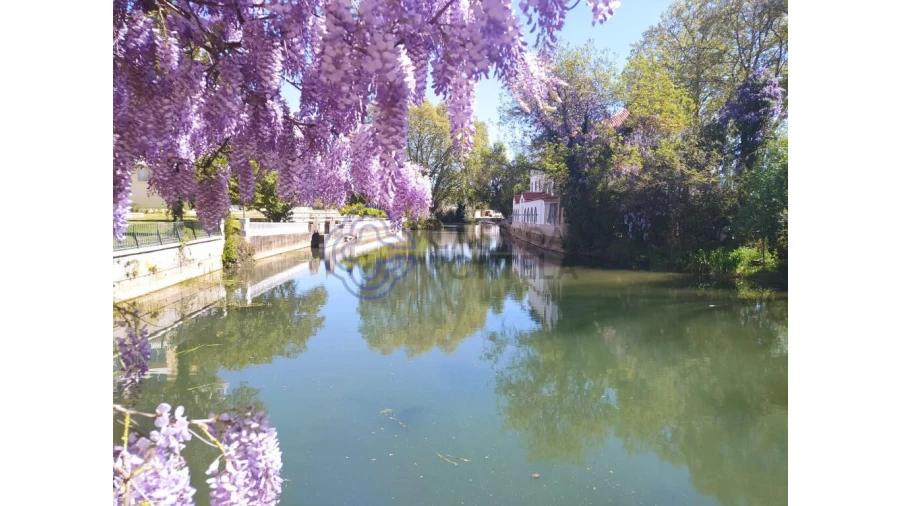 Moradia T3 para Venda em Casais e Alviobeira Foto 17