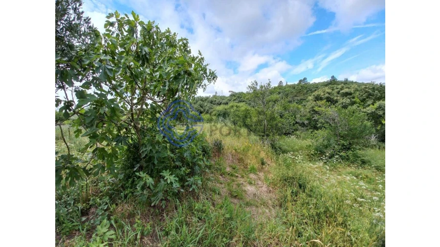 Moradia T3 para Venda em Casais e Alviobeira Foto 12