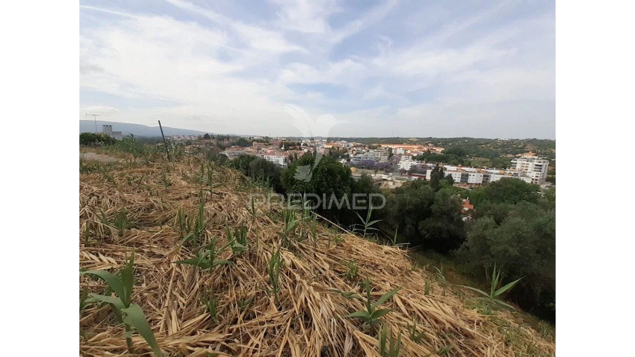 Terreno para Venda em Torres Novas (Santa Maria, Salvador e Santiago) Foto 12