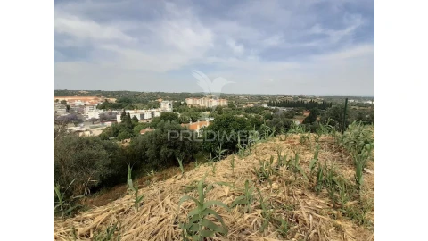 Terreno para Venda em Torres Novas (Santa Maria, Salvador e Santiago)