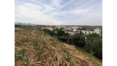 Terreno para Venda em Torres Novas (Santa Maria, Salvador e Santiago)