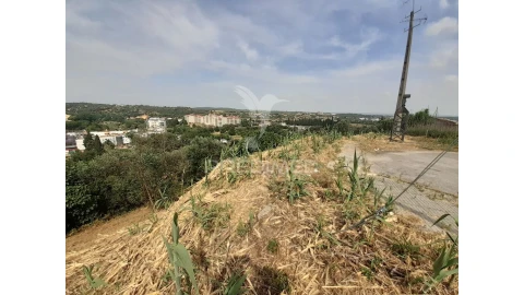 Terreno para Venda em Torres Novas (Santa Maria, Salvador e Santiago)