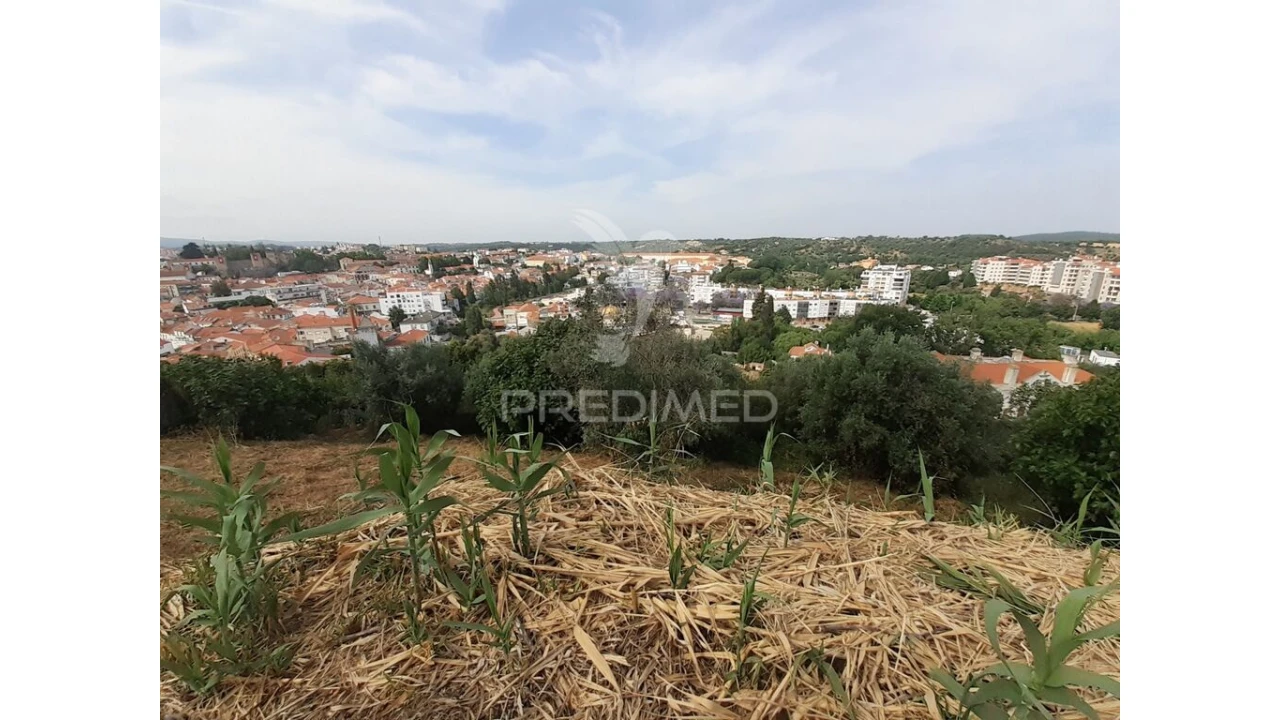 Terreno para Venda em Torres Novas (Santa Maria, Salvador e Santiago) Foto 10