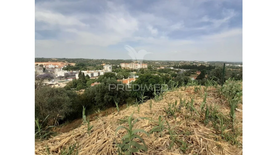 Terreno para Venda em Torres Novas (Santa Maria, Salvador e Santiago) Foto 11