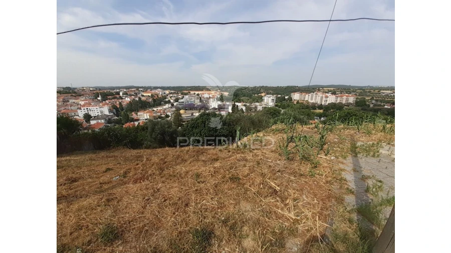 Terreno para Venda em Torres Novas (Santa Maria, Salvador e Santiago) Foto 8