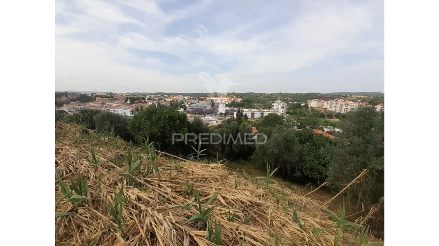 Terreno para Venda em Torres Novas (Santa Maria, Salvador e Santiago) Foto 13