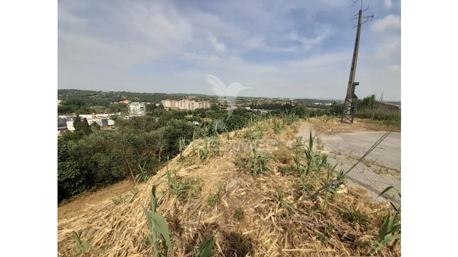 Terreno para Venda em Torres Novas (Santa Maria, Salvador e Santiago) Foto 9