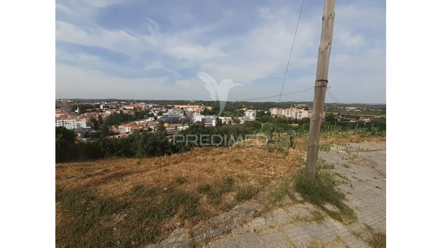 Terreno para Venda em Torres Novas (Santa Maria, Salvador e Santiago) Foto 4