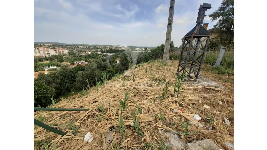 Terreno para Venda em Torres Novas (Santa Maria, Salvador e Santiago) Foto 15