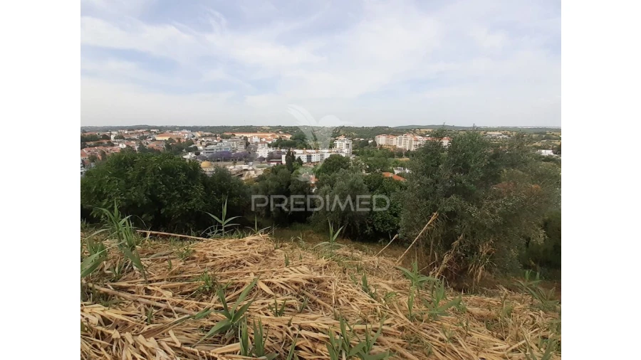 Terreno para Venda em Torres Novas (Santa Maria, Salvador e Santiago) Foto 14