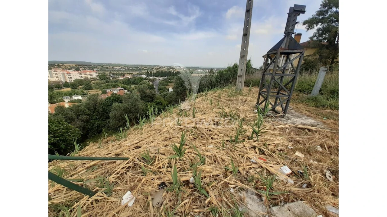 Terreno para Venda em Torres Novas (Santa Maria, Salvador e Santiago) Foto 15