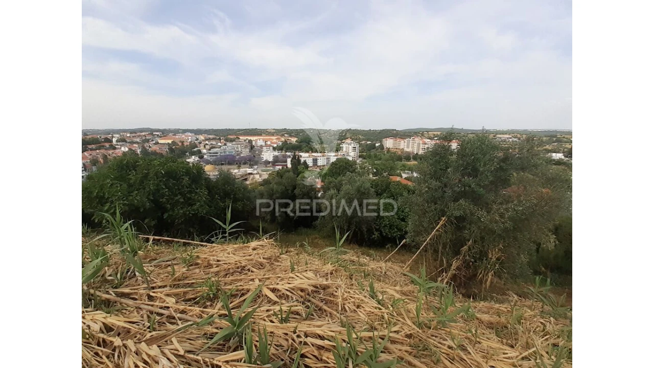 Terreno para Venda em Torres Novas (Santa Maria, Salvador e Santiago) Foto 14