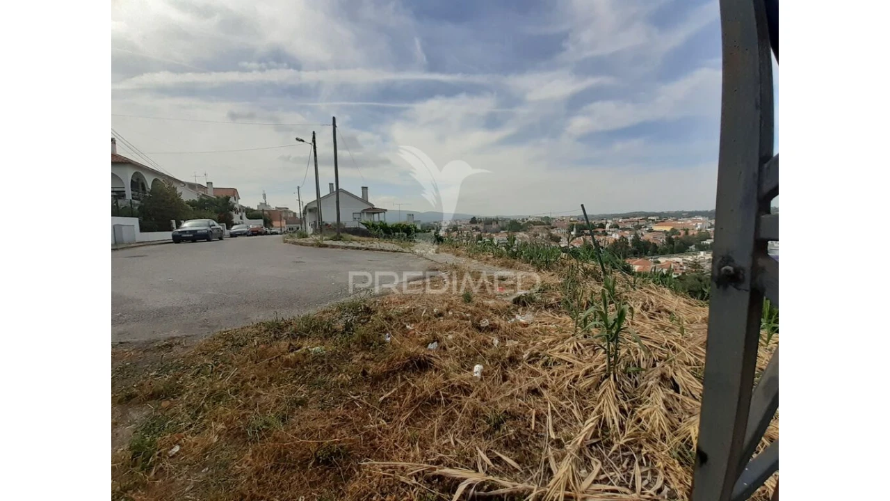 Terreno para Venda em Torres Novas (Santa Maria, Salvador e Santiago) Foto 3