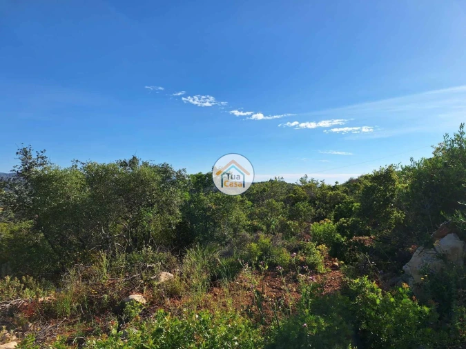 Terreno para Venda em Faro (Sé e São Pedro) Foto 19