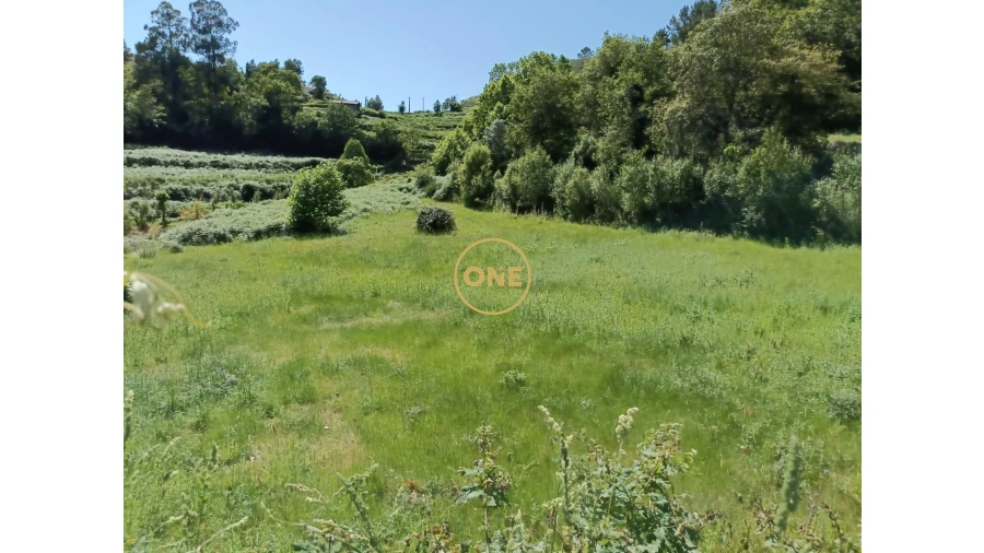 Moradia para Venda em Gondoriz Foto 6